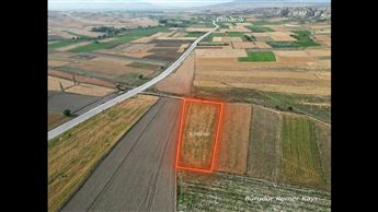 VideoCapture_20250105-213327