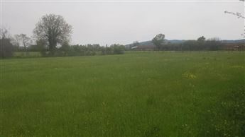 WhatsApp Image 2022-10-09 at 11.27.39 (1)