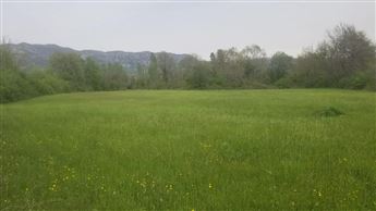 WhatsApp Image 2022-10-09 at 11.27.39