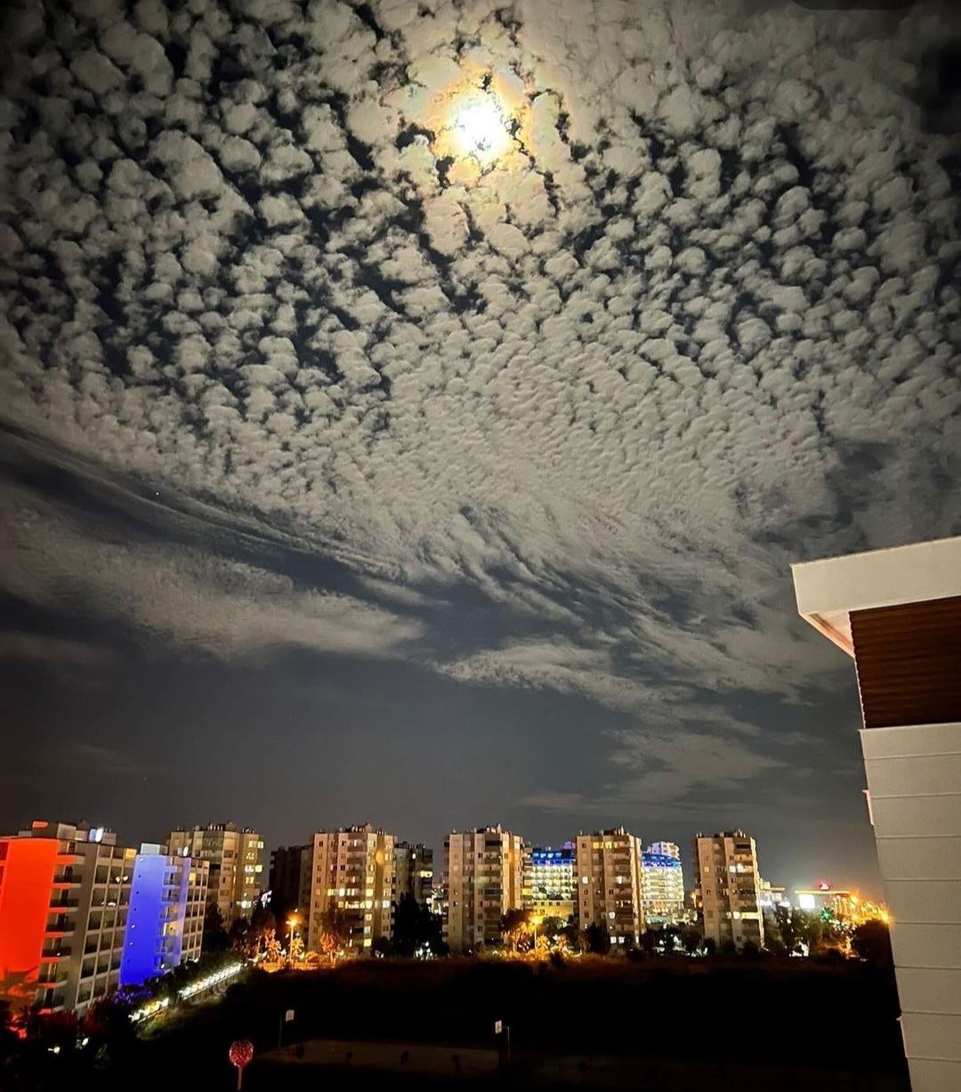 Screenshot_20221012-004646_Instagram